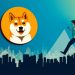 Pertaruhan Dogecoin di Wall Street: Eksperimen Gila yang Melenyapkan 70% Nilai Pasar Saham